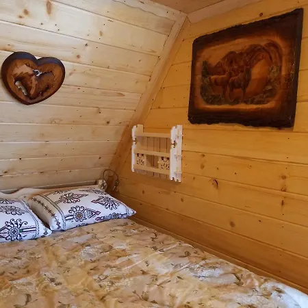 Przy Skalniaku 木屋 比利但耶克